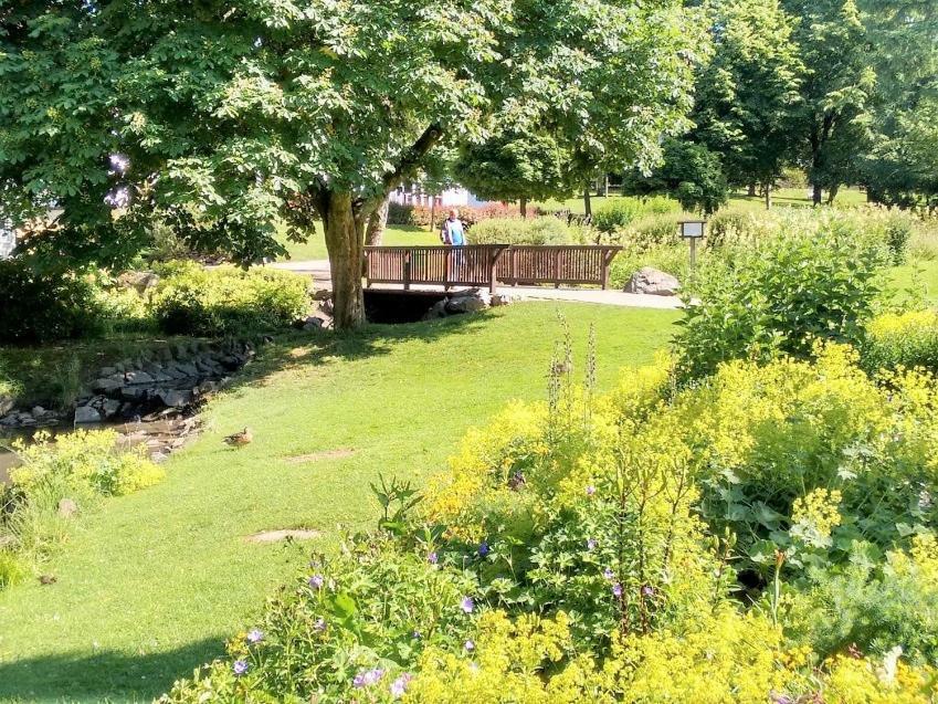 Ferienwohnung Ricken Am Kurpark Willingen  Buitenkant foto